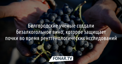 Белгородские учёные создали безалкогольное вино для защиты почек при рентгене