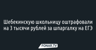 Шебекинскую школьницу оштрафовали на 3 тысячи рублей за списывание на ЕГЭ