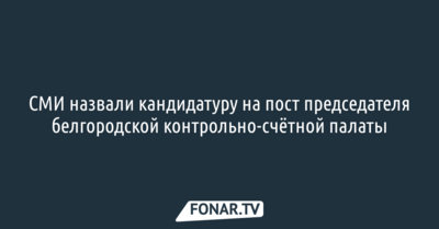 СМИ назвали кандидатуру на пост председателя белгородской контрольно-счётной палаты