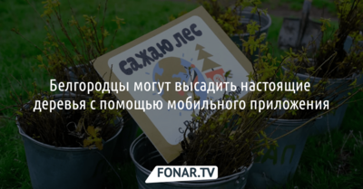 Белгородцы могут высадить деревья через мобильное приложение