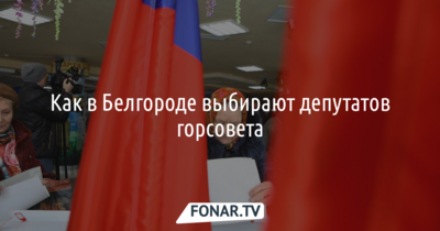 Выборы-2018. Как в Белгороде выбирают депутатов горсовета