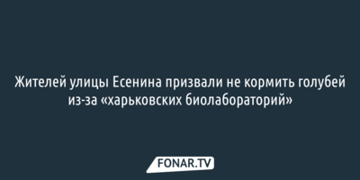 Жителей улицы Есенина в Белгороде призвали не кормить голубей из-за «харьковских биолабораторий»