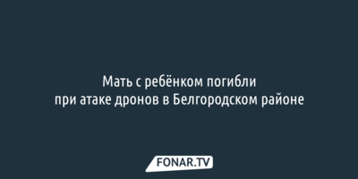 Мать с ребёнком погибли при атаке дронов в Белгородском районе