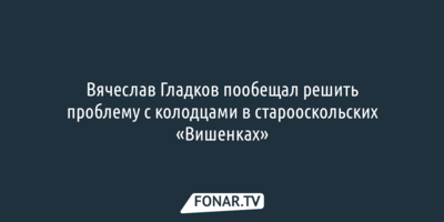 Староосколец напомнил Вячеславу Гладкову о невыполненном обещании, губернатор взял срок до конца декабря