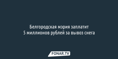 Белгородская мэрия заплатит 5 миллионов рублей за вывоз снега