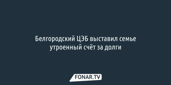 Стипендиат президента судится с белгородским ЦЭБом из-за утроенного счёта за долги