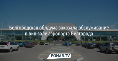 Спикер Белгородской облдумы объяснила, зачем облдума заказала обслуживание в VIP-зале аэропорта Белгорода