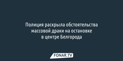 Мат привёл к массовой драке на остановке в центре Белгорода