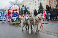 Парад Дедов Морозов и Снегурочек в Белгороде-2017