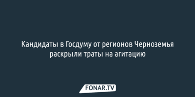 Кандидаты в Госдуму от регионов Черноземья раскрыли траты на агитацию
