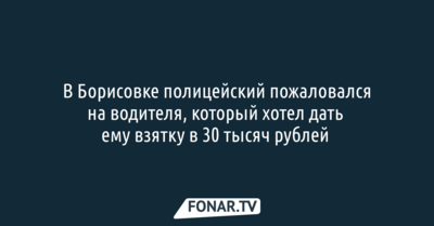 В Борисовке полицейский пожаловался на водителя, который хотел дать ему взятку в 30 тысяч рублей