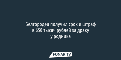 Белгородец получил срок и штраф в 650 тысяч рублей за драку у родника