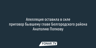 Апелляция оставила в силе приговор бывшему главе Белгородского района Анатолию Попкову