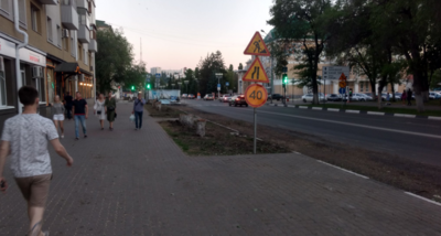 В Белгороде на улице Попова срубили 23 дерева старше полувека