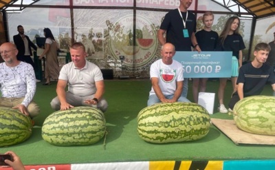 Белгородский фермер вырастил 102 килограмма сладкой арбузной гордости [фото]