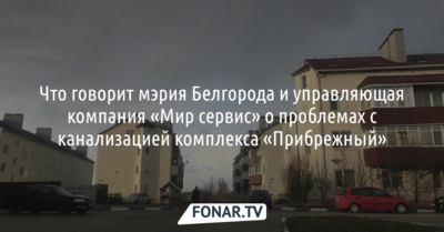 Жители комплекса «Прибрежный» в Белгороде жалуются на проблемы. Что об этом говорят в мэрии и в управляющей компании?