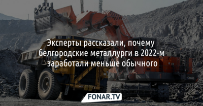 Белгородские металлурги в 2022 году заработали меньше обычного