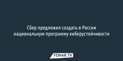 Сбер предложил создать в России национальную программу киберустойчивости