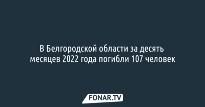 В Белгородской области за десять месяцев 2022 года погибли 107 человек