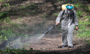 В Белгороде обрабатывают общественные пространства от клещей