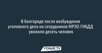 После возбуждения уголовного дела на сотрудников белгородского МРЭО ГИБДД уволили десять человек