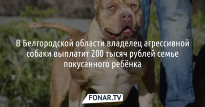 Белгородец выплатит 200 тысяч рублей семье ребёнка, которого покусала его собака