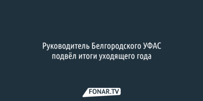 Белгородские антимонопольщики за год включили в чёрный список 89 компаний и предпринимателей