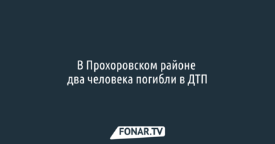 В Прохоровском районе два человека погибли в ДТП