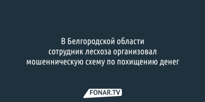 В Белгородской области сотрудник лесхоза организовал мошенническую схему по похищению денег