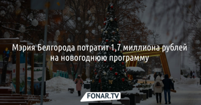 Мэрия Белгорода потратит 1,7 миллиона рублей на новогоднюю программу 