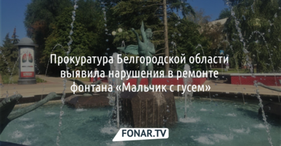 Прокуратура Белгородской области заинтересовалась ремонтом фонтана «Мальчик с гусем»