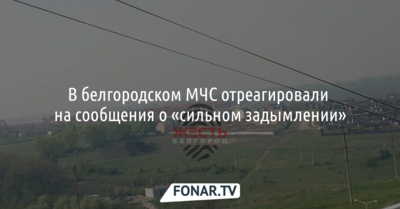 В белгородском МЧС отреагировали на сообщения о «сильном задымлении»
