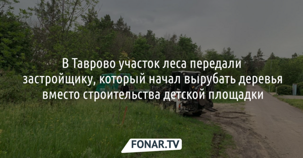 В Таврово участок леса передали застройщику, который начал вырубать деревья вместо строительства детской площадки