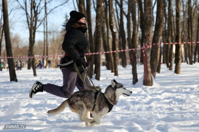 В Белгороде прошёл забег «Хаски-Trail»