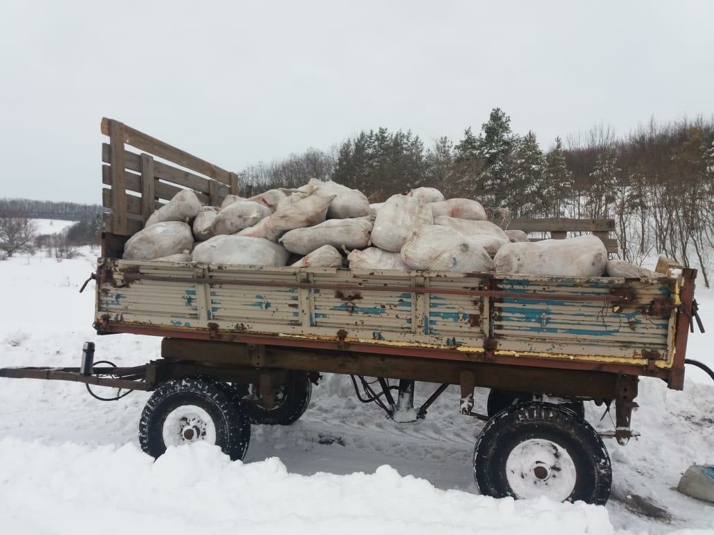 Белгородские пограничники на границе задержали больше четырёх тонн мясной продукции неизвестного происхождения
