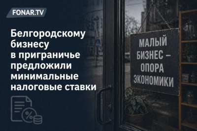 Белгородскому бизнесу в приграничье предложили минимальные налоговые ставки