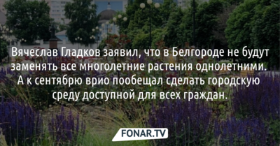 Вячеслав Гладков заявил, что в Белгороде не будут заменять все многолетние растения однолетними