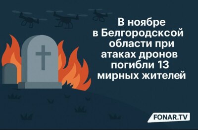В ноябре в Белгородской области при атаках дронов погибли 13 мирных жителей
