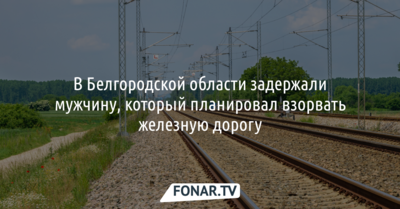 В Белгородской области задержали мужчину, который планировал взорвать железную дорогу