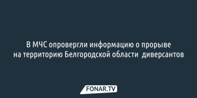В МЧС опровергли информацию о прорыве на территорию Белгородской области диверсантов