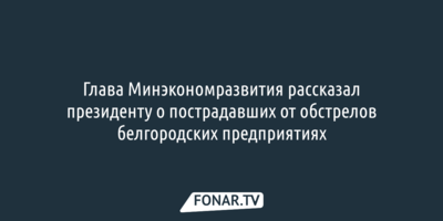 Глава Минэкономразвития рассказал президенту о пострадавших от обстрелов белгородских предприятиях