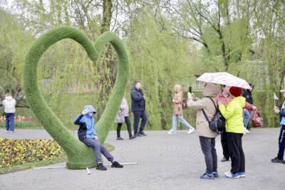 Часть инсталляций белгородского фестиваля «Река в цвету» не будут убирать