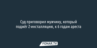 Суд вынес приговор в отношении поджигателя Z-инсталляции в Белгороде