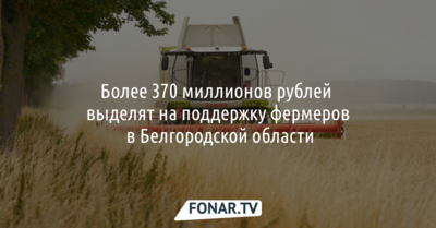 Более 370 миллионов рублей выделят на поддержку фермеров в Белгородской области