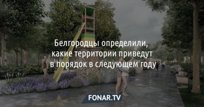 Белгородцы определили, какие территории приведут в порядок в следующем году