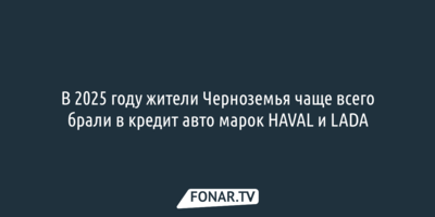 В 2025 году жители Черноземья чаще всего брали в кредит авто марок HAVAL и LADA 