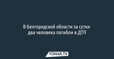 В Белгородской области за сутки два человека погибли в ДТП