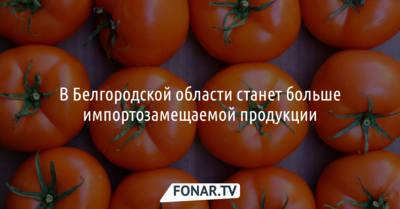 В Белгородской области станет больше импортозамещаемой продукции
