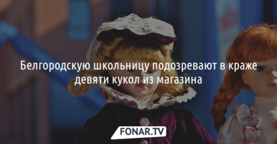 В Белгороде возбудили уголовное дело на девочку за кражу кукол