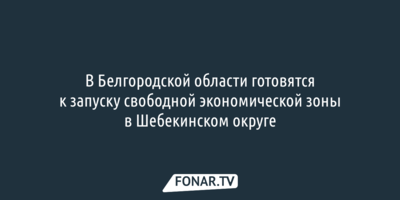 Чиновники готовятся открыть свободную экономическую зону в Шебекинском округе